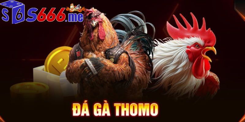 Đá gà thomo